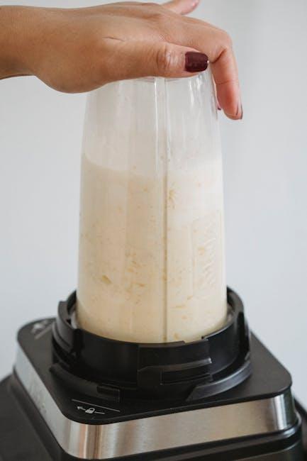 Best Hand Blender – Immersion Blender 1000W Review