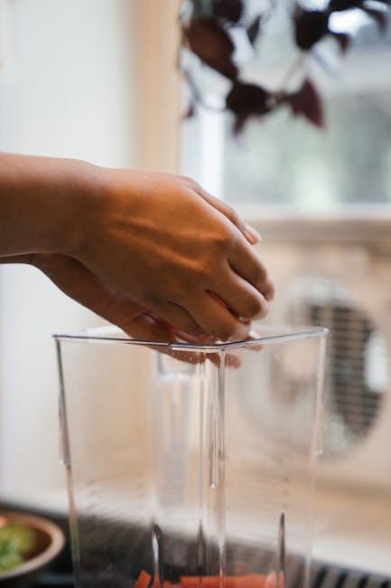 Best Hand Blender – Vitamix 750 Hand Blender Review